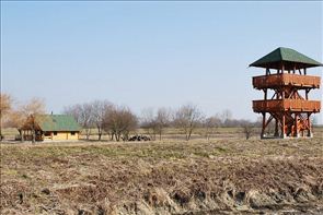 DSC_8_800x534