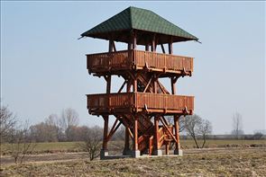 DSC_9_800x534