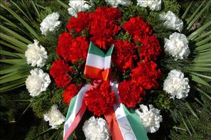 VZA_6787