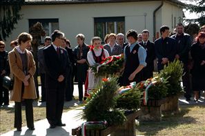 VZA_6872