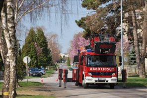 DSC_1263_800x533