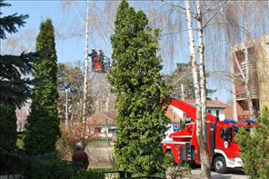 DSC_1264_800x533
