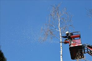 DSC_1277_800x533