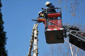 DSC_1281_800x533