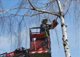 DSC_1282_800x570