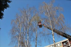 DSC_1286_800x533