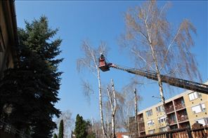 DSC_1290_800x533