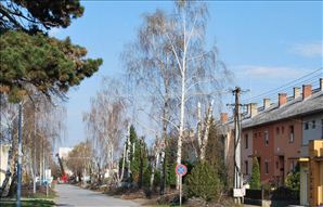 DSC_1293_800x512