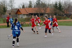 SPR_1446