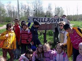 Csilagvar-Nyusz-Tura-36