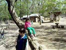 DSC02660