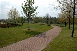 VZA_4549