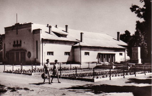Photograph